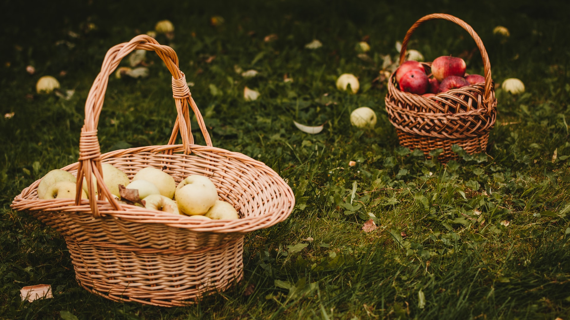 Our signature White Russian